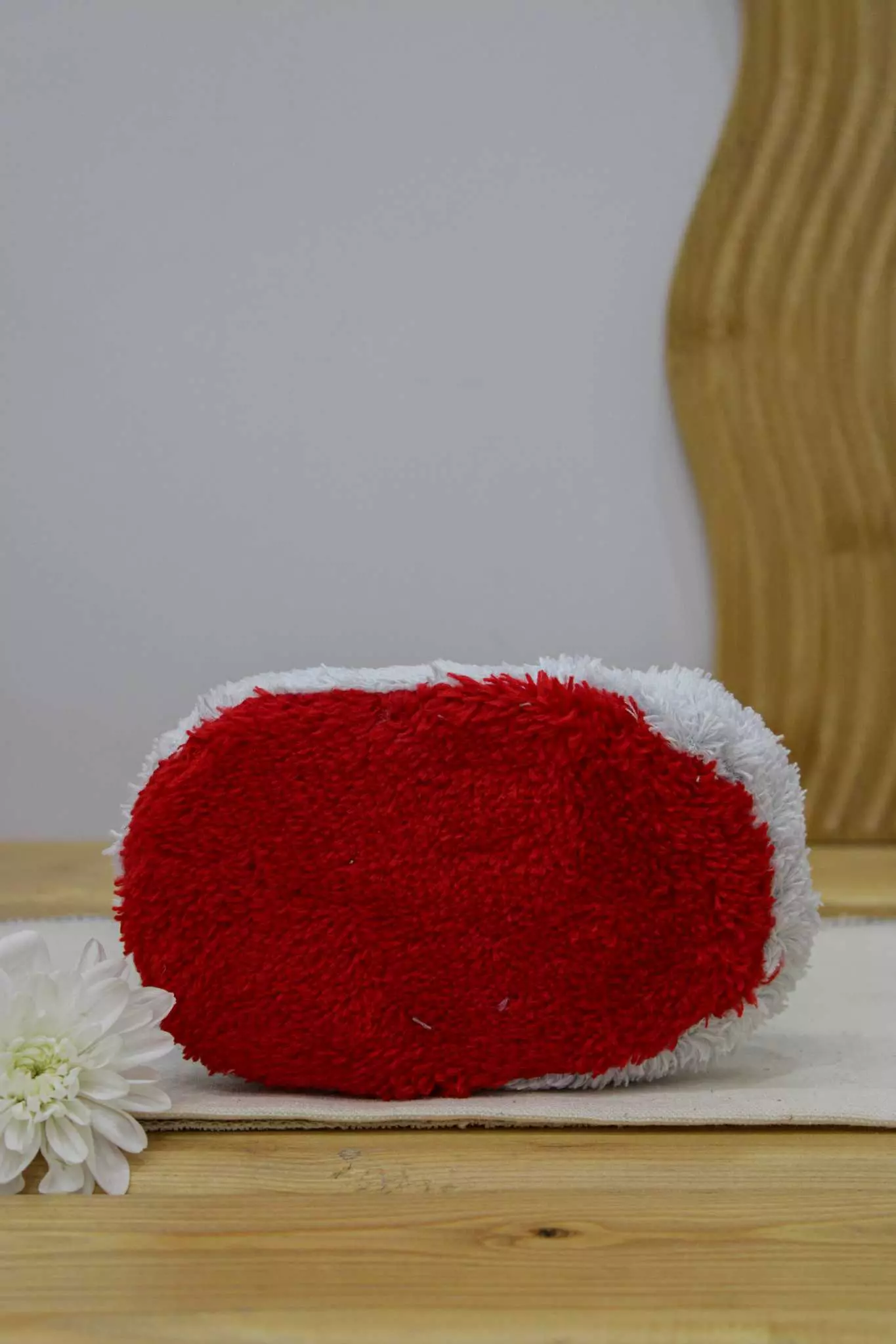 اسکاج هانس بیضی