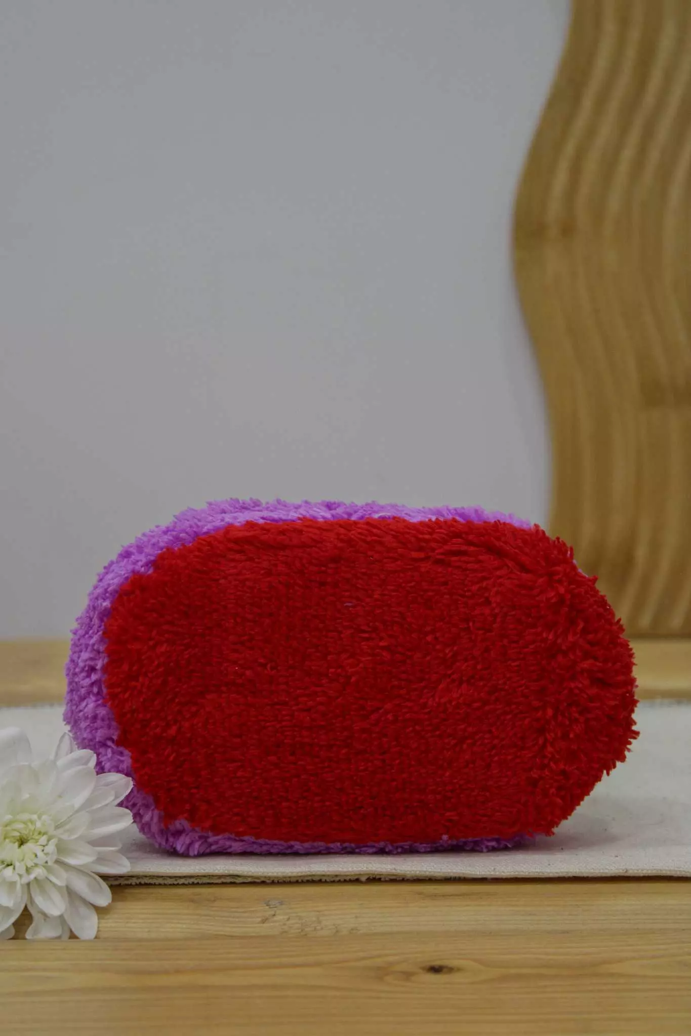 اسکاج هانس بیضی