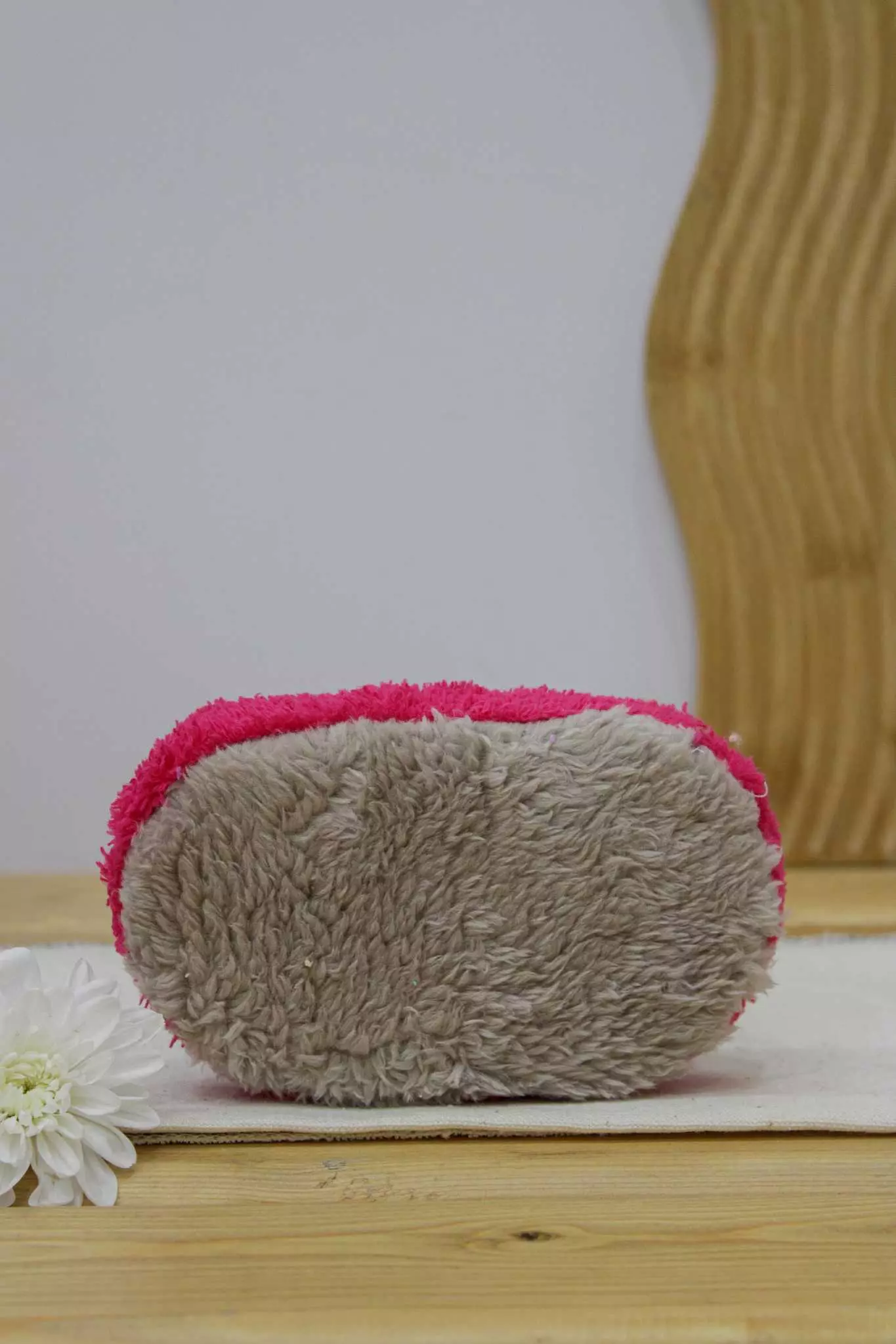 اسکاج هانس بیضی