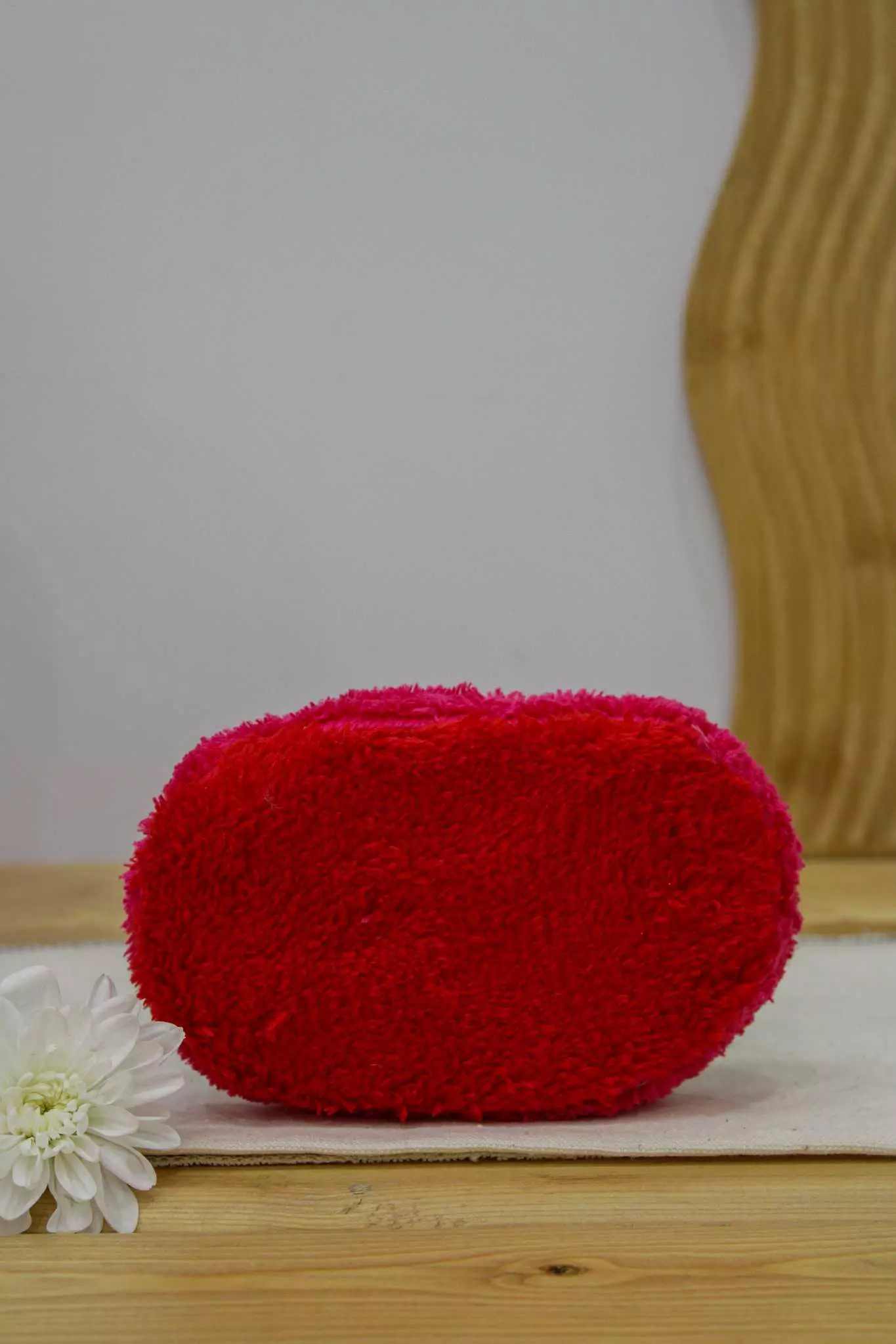 اسکاج هانس بیضی