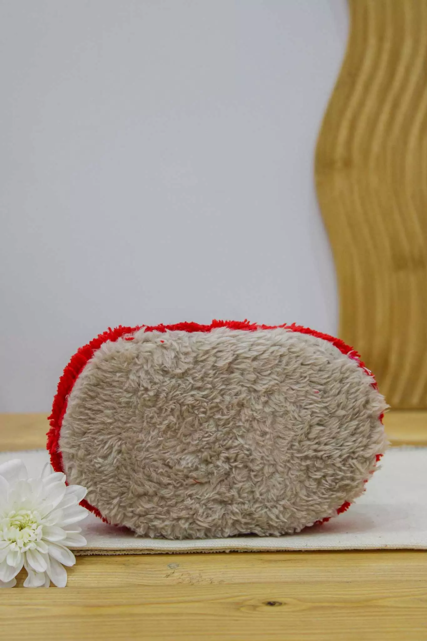 اسکاج هانس بیضی