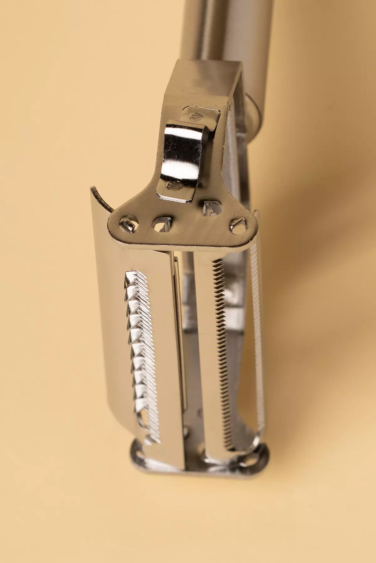 رشته کن شنگیا