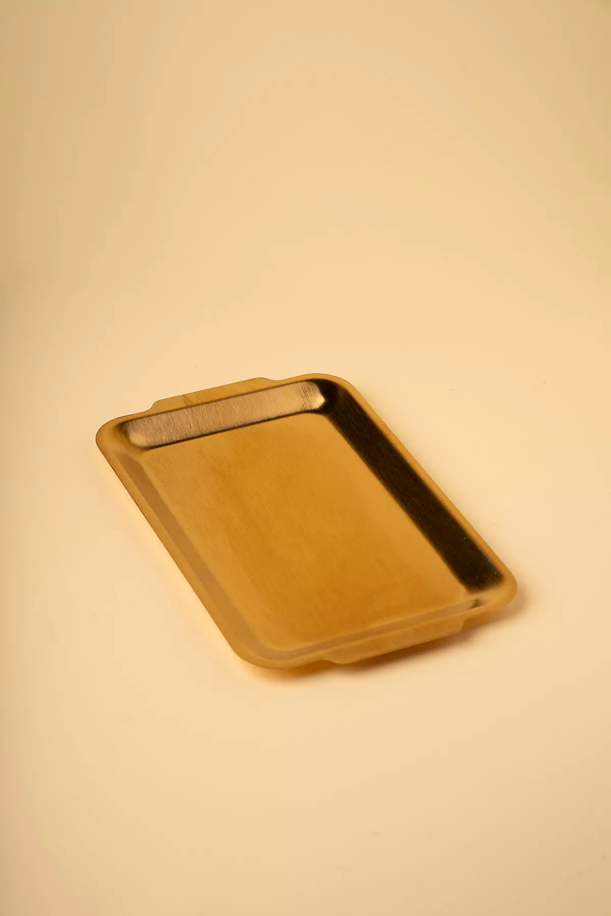 دیس استیل طلایی