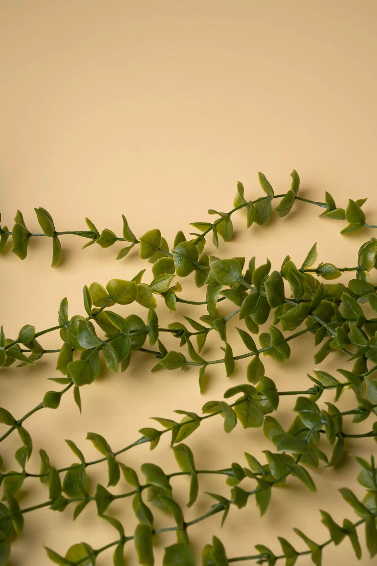 آویز شمشاد