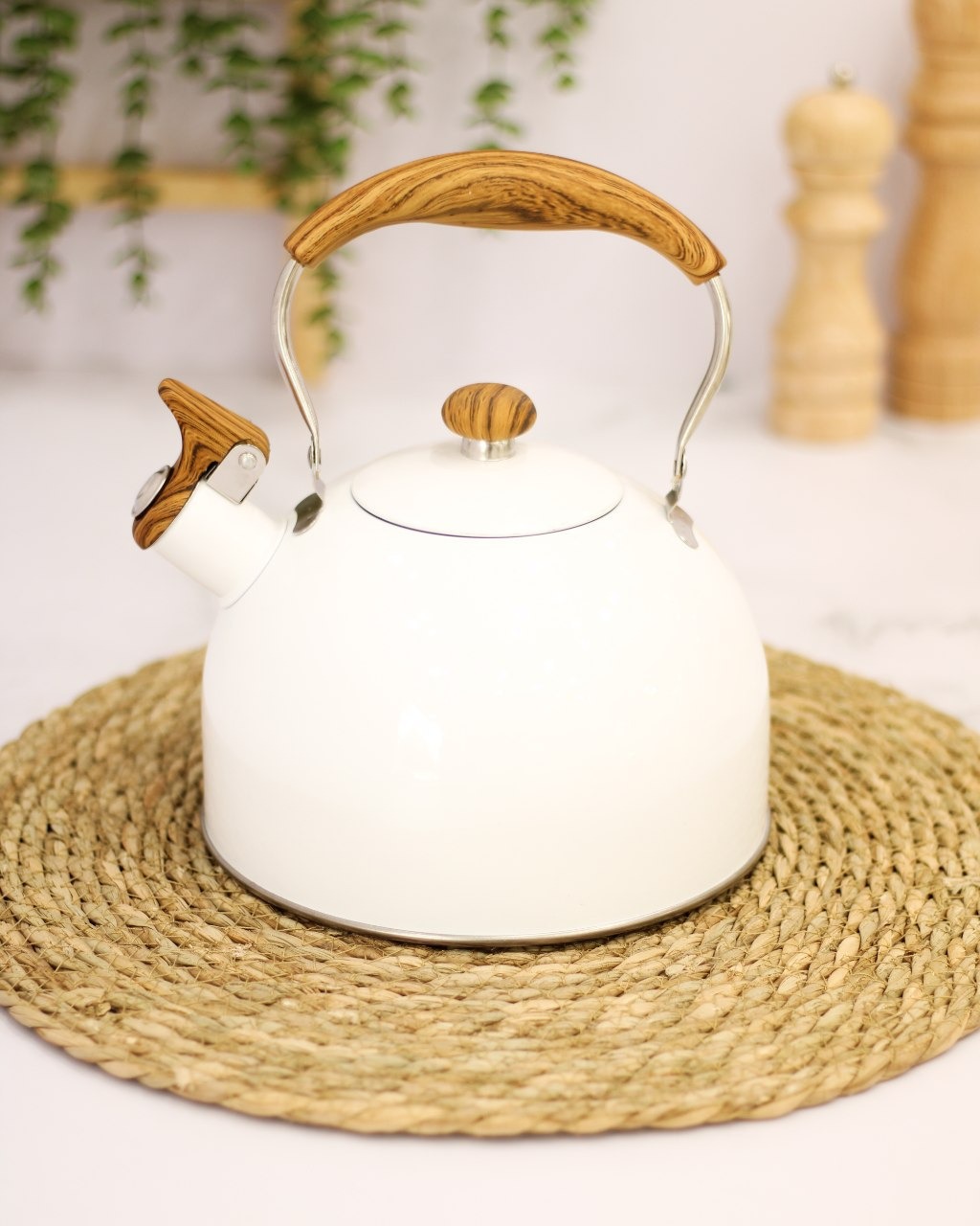 کتری استیل وارداتی
