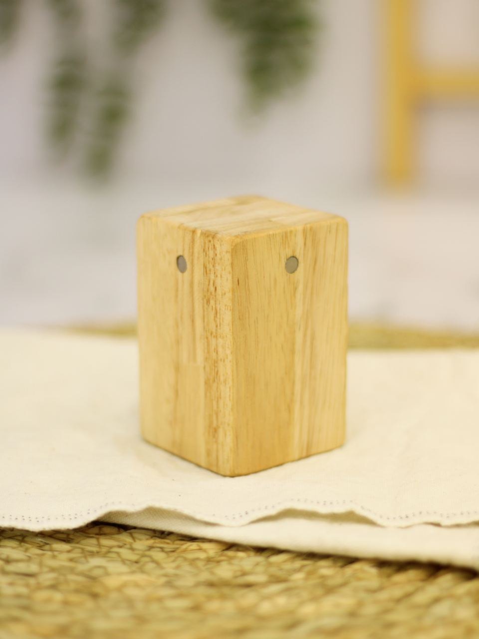 استند مگنتی