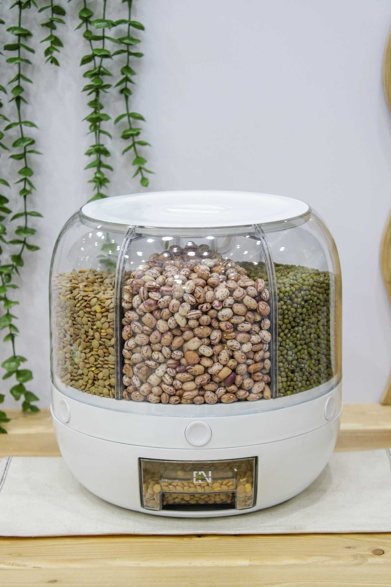 جا حبوباتی گرد چرخشی